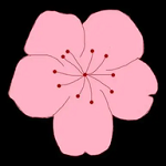 WWW,yyy81·COM网站APPAPP应用